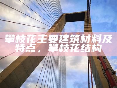 攀枝花主要建筑材料及特点，攀枝花结构